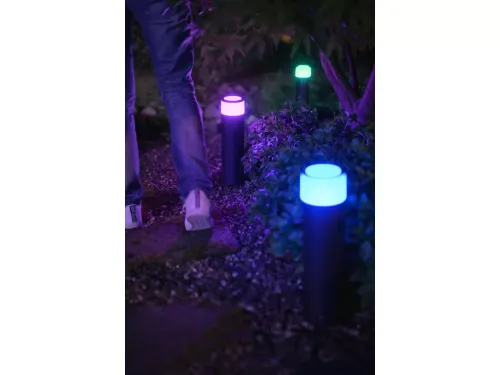 Không gian ánh sáng trắng và màu Hue Calla Pathway Light Black ext