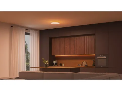 Không gian ánh sáng trắng và màu Hue Datura Ceiling Light S