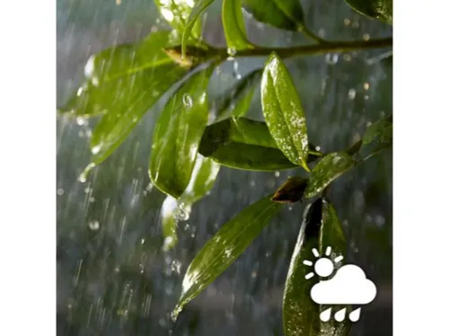 Không gian ánh sáng trắng và màu Hue Lightstrip Outdoor